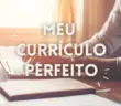 Meu currículo perfeito