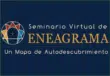 Seminário Virtual de Eneagrama